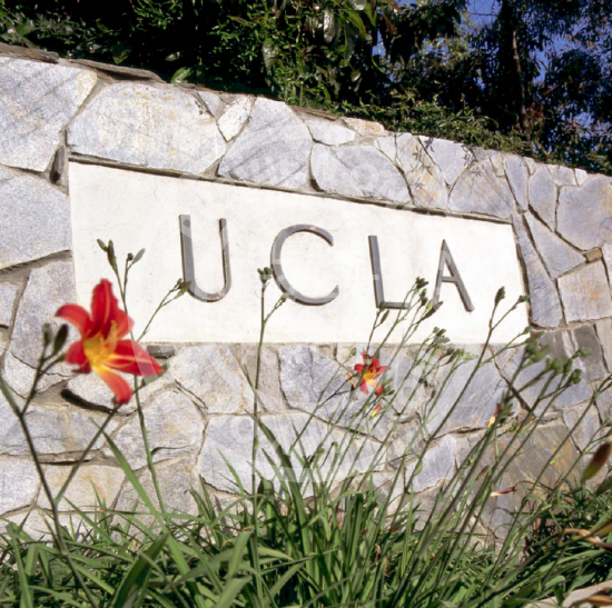 UCLA Stone Wall