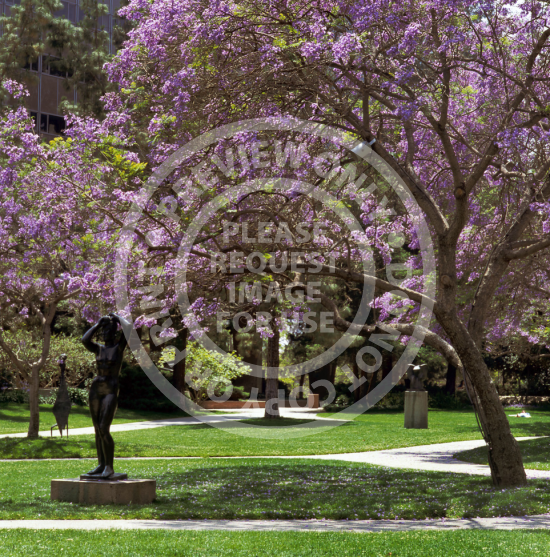 Murphy Sculpture Garden