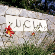 UCLA Stone Wall