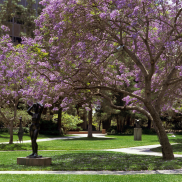 Murphy Sculpture Garden