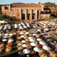 Parents' Weekend - Wilson Plaza
