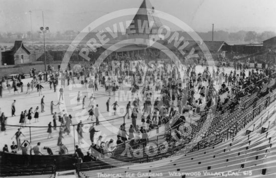 Tropical Ice Gardens (1938)