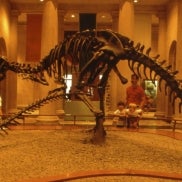 losangelesnaturalhistorymuseum