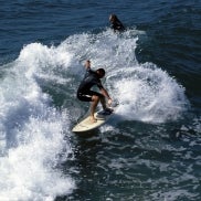santamonicasurfing