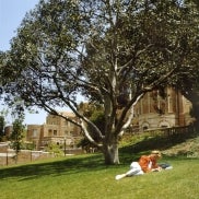 uclastudents_studyingonlawn