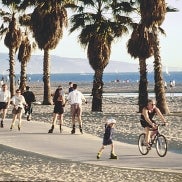 venicebeach