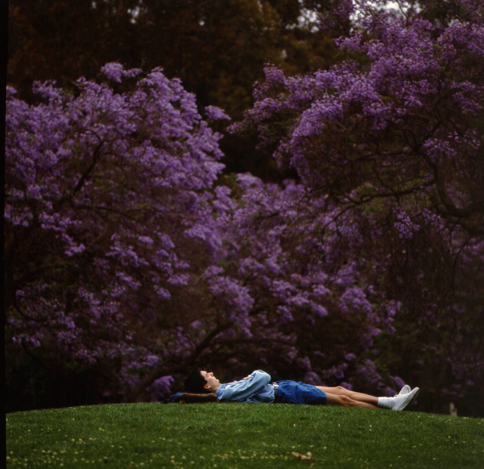 uclastudent_restinginsculpturegarden