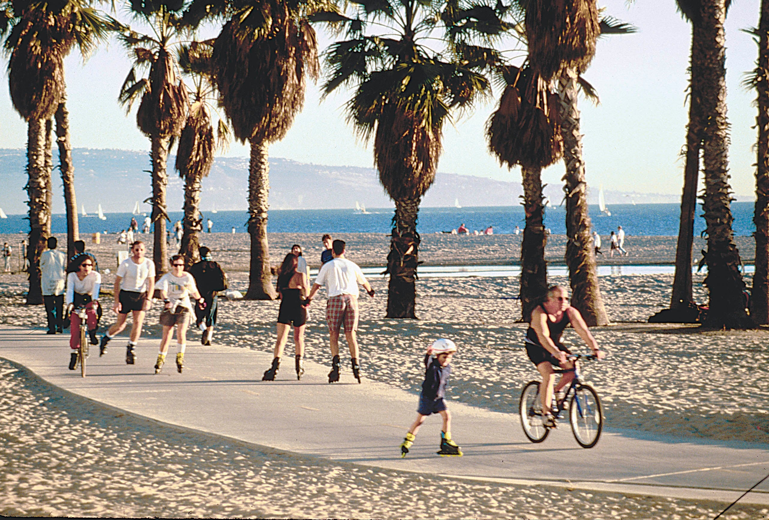 venicebeach